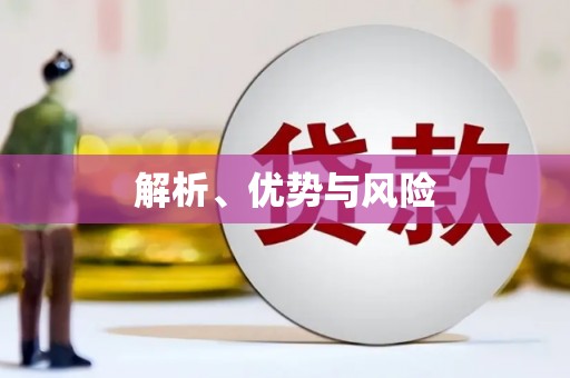 竹崎解析、优势与风险
