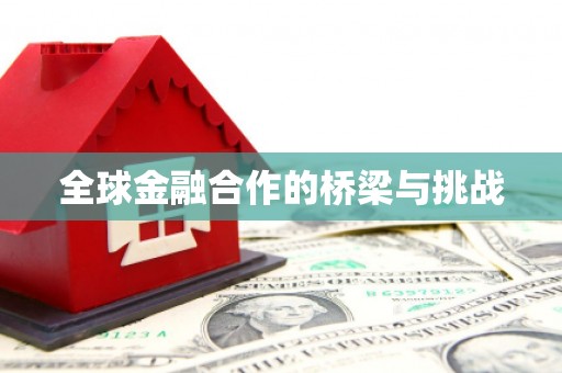 竹崎全球金融合作的桥梁与挑战