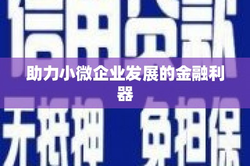 竹崎助力小微企业发展的金融利器