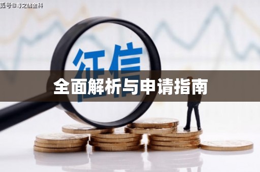 竹崎全面解析与申请指南