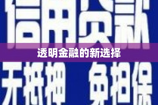 竹崎透明金融的新选择