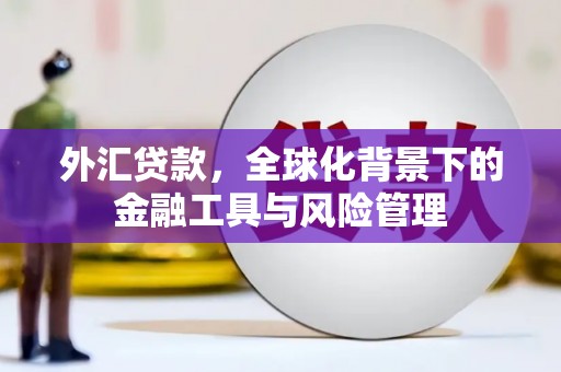 竹崎外汇贷款，全球化背景下的金融工具与风险管理